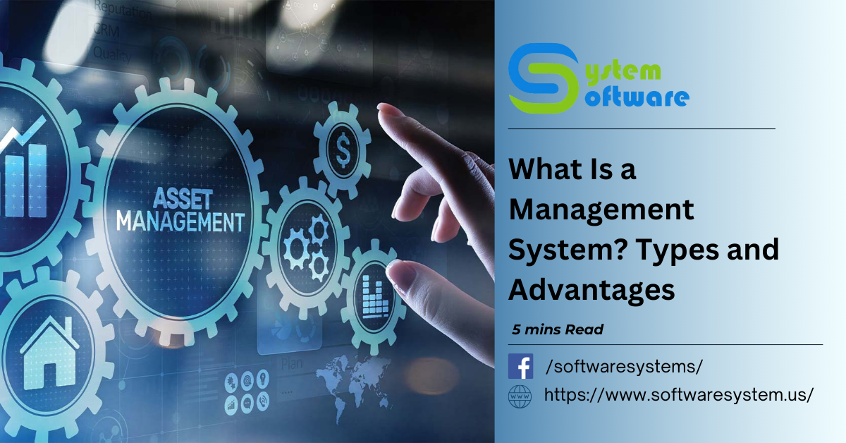 what is a management system